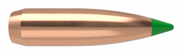 Nosler Balistic Tip 30165 Bullet